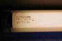 Philips_5ft_Colour_32_T12_Tube.JPG
